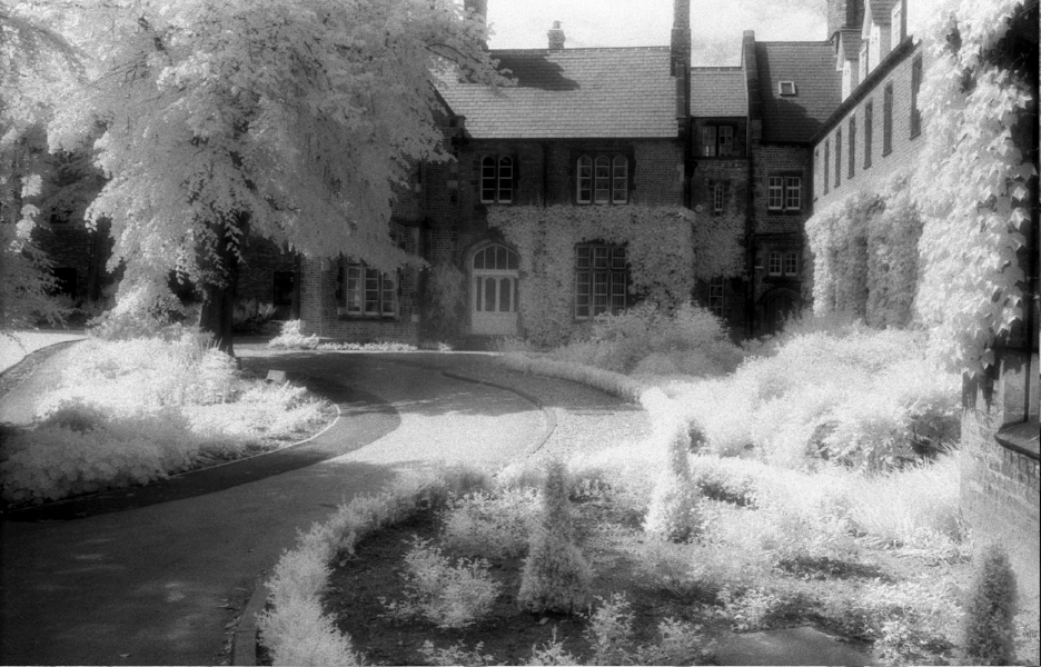Infrared picture of a building and plants. There are plants growing on the building.